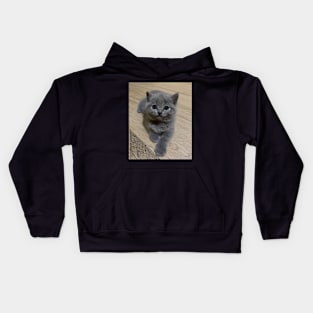 the blue cute cats Kids Hoodie